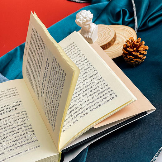 灵魂与自由意志 快与慢文丛 精装 哲学 彭波那齐 瓦拉 费奇诺 商品图10