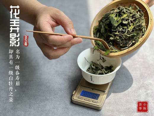 【2023春茶】2023一级春寿眉花弄影，水石榕+春兰+广玉兰的香气，具有一级白牡丹之姿，极富春之气韵（1斤和4斤收藏装） 商品图6