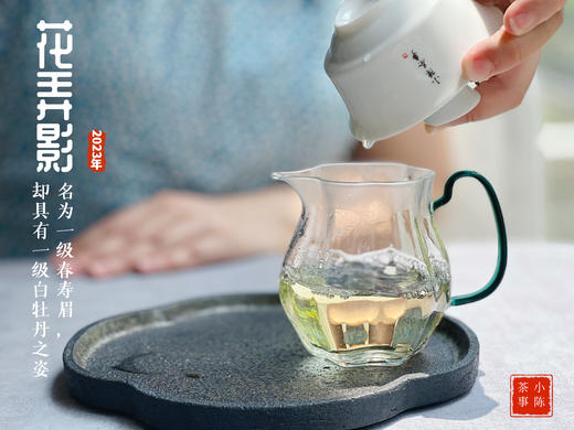 【2023春茶】2023一级春寿眉花弄影，水石榕+春兰+广玉兰的香气，具有一级白牡丹之姿，极富春之气韵（1斤和4斤收藏装） 商品图10