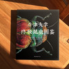 牛津大学终极昆虫图鉴 列文· 比斯 著 科普读物 商品缩略图2