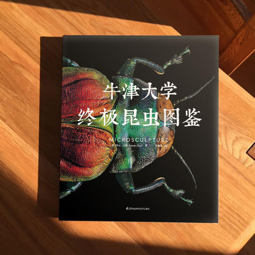 牛津大学终极昆虫图鉴 列文· 比斯 著 科普读物 商品图2