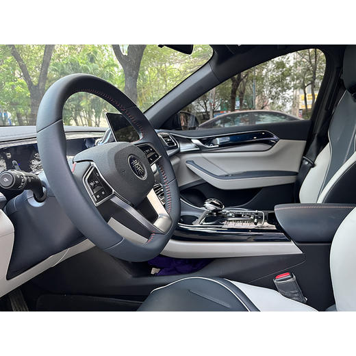 比亚迪 秦 plus dmi【长租-深圳】 商品图7