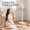 forestlife落地扇14寸FLE-DC358B 商品缩略图3
