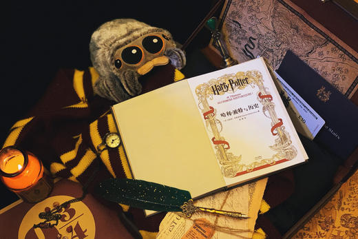 【图书】哈利·波特与历史：对J.K.罗琳幻想世界的深度剖析，献给魔法学校的“新生”和“毕业生”！揭开千年魔法史的“历史教科书”，打破奇幻世界与现实世界之间的“次元之壁”！ 商品图3