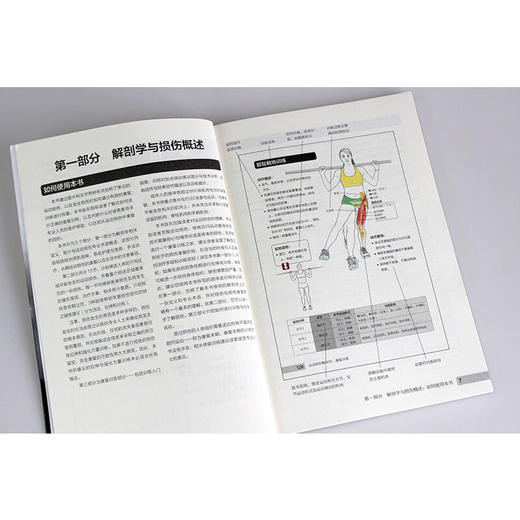 运动损伤解剖学康复训练 利·布兰登 著 养生保健 商品图2