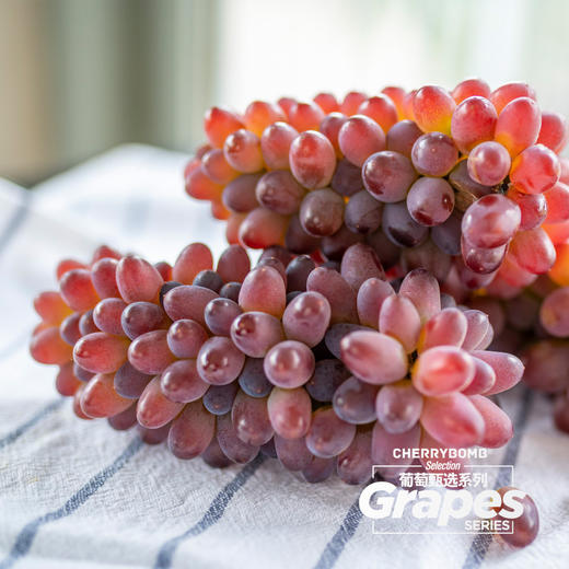 云南茉莉香无籽葡萄 浓甜微微酸 清雅茉莉香 小粒皮薄无籽  顺丰快递 商品图2