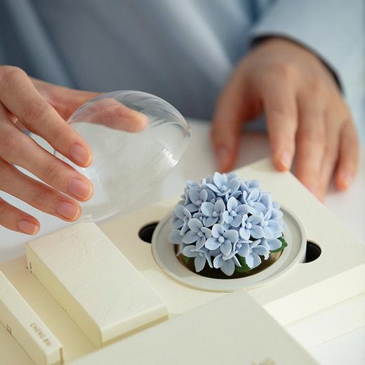 【赠底座】呈白·「洛神系列」瓷韵香氛礼盒 ，诗意永生花，诠释中国式浪漫【G】 商品图0