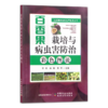 热带果树高效生产技术丛书（全5册）【中国农业出版社官方正版】 商品缩略图2