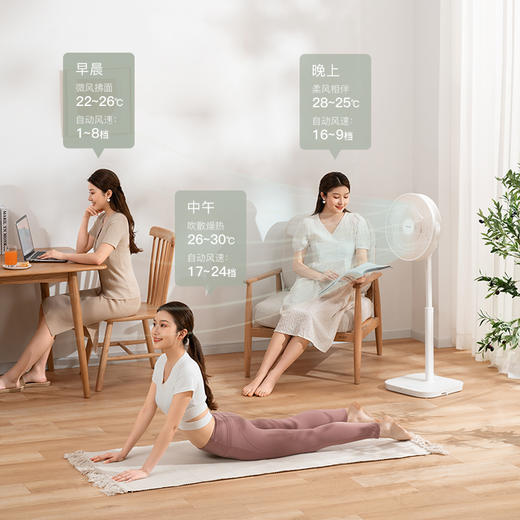 forestlife落地扇14寸FLE-DC358B 商品图4