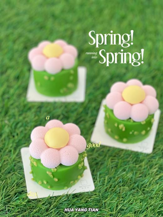 甜品 开心果太阳花 · 法式西点 商品图0