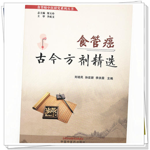 食管癌古今方剂精选 刘培民 孙宏新 著 中国中医药出版社 食管癌中医研究系列丛书 方剂学书籍 商品图4