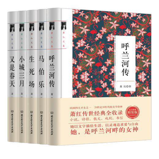 萧红文集全五册：呼兰河传、又是春天、小城三月、生死场、马伯乐 商品图0
