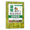 热带果树高效生产技术丛书（全5册）【中国农业出版社官方正版】 商品缩略图5