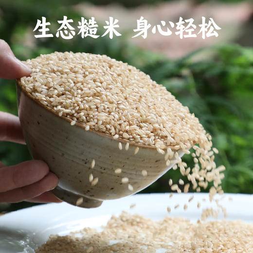 【2023新粮】生态糙米2斤 鲜米现碾 富含膳食纤维 吃粗粮更健康 商品图0