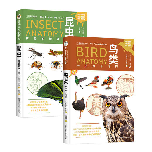 【昆虫+鸟类小百科】中国国家地理出品，通过300余幅照片、手绘图、信息图 回溯亿万年的昆虫演化史 和完美的飞行系统  科普图书 商品图1