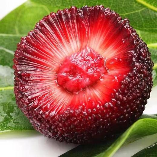 鲜杨梅 约500g/份 商品图1