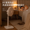 forestlife落地扇14寸FLE-DC358B 商品缩略图2