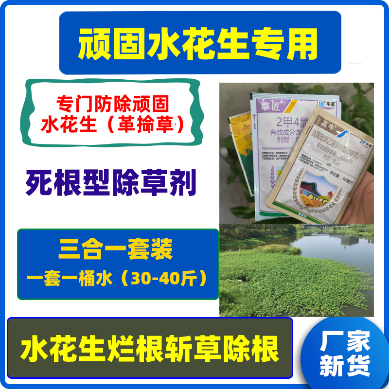 顽固水花生专用三合一套装1桶水 水花生烂根斩草除根死根型除草剂