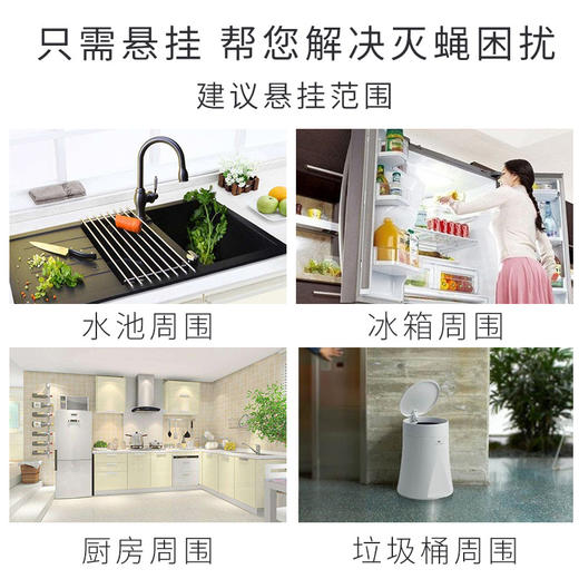 【补蝇盒】日本金鸟KINCHO粘蝇纸补蝇器苍蝇贴强力粘捕蝇器家用粘苍蝇灭蝇 商品图2