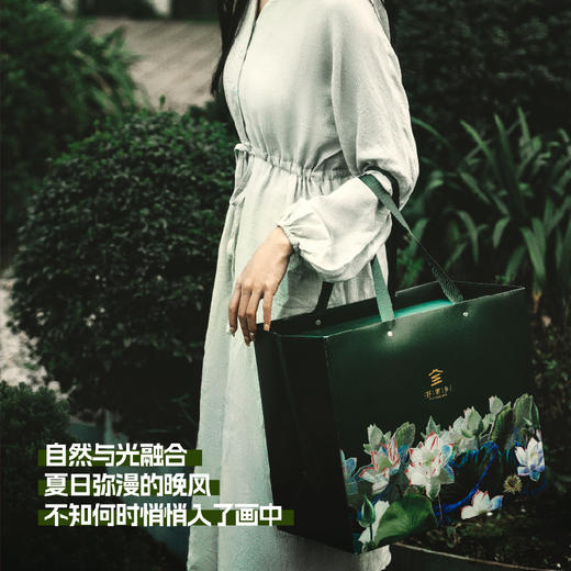 莫奈花园粽子礼盒2.06kg |好家乡 商品图5