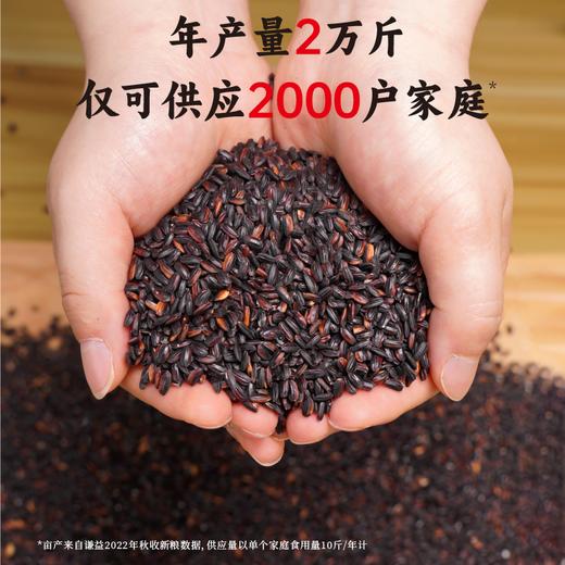 【2023新粮】香畴紫糯米500g 自然农耕 粗纤维 鲜香糯 吃出好气色 商品图1