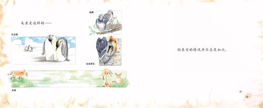 海兔来的那天   不一样的家    一年级共读套装正版现货速发|名师推荐|小学生课外阅读1年级 商品图4