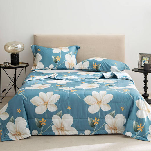 恒源祥 春暖花开/花团锦簇 柔软夏凉被空调被200*230 商品图1