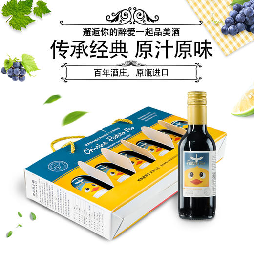 智成丑小鸭经典赤霞珠干红葡萄酒187.5ml六支礼盒装 商品图0