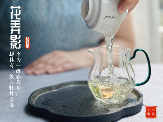 【2023春茶】2023一级春寿眉花弄影，水石榕+春兰+广玉兰的香气，具有一级白牡丹之姿，极富春之气韵（1斤和4斤收藏装） 商品图9