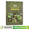 蜜柚常见病虫害速诊快治图鉴 赖宝春,吕平香, 戴瑞卿,蓝炎阳 柑桔 柚子 30069 商品缩略图0