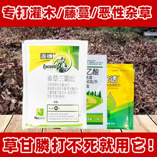 恶性杂草专杀方案田埂开荒林间果园除草一扫光灌木藤蔓专用除草剂 商品图2