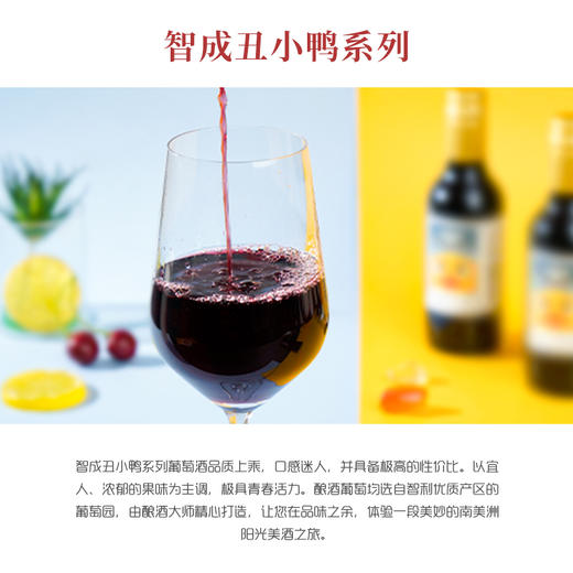 智成丑小鸭经典赤霞珠干红葡萄酒750ml两支装 商品图3