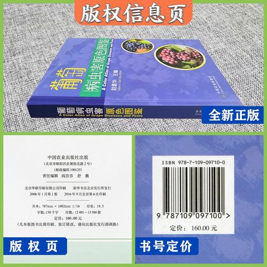 葡萄病虫害原色图鉴-赵奎华主编 葡萄病虫害防治大全书籍 防治问答诊断与防治新技术  葡萄种植栽培技术与管理书籍 原色生态图谱 商品图2