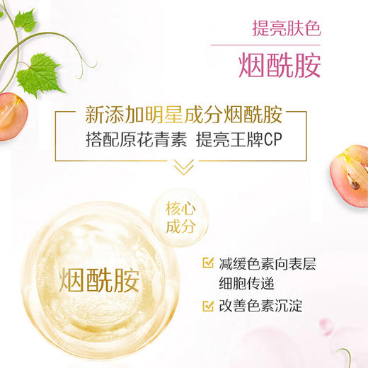 Swisse 葡萄籽烟酰胺片180 粒 商品图6