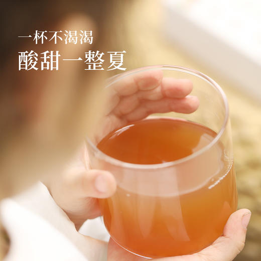 ☆【酸梅汤膏】酸甜可口 小袋分食 方便携带 商品图1