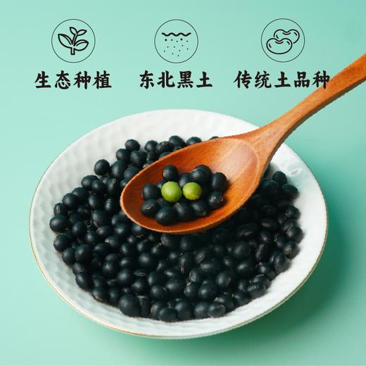 【2023新粮】 黑青豆2斤 黑皮绿芯 颗粒饱满 豆香馥郁  商品图1