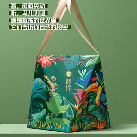 小森林粽子礼盒880g |好家乡