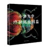 牛津大学终极昆虫图鉴 列文· 比斯 著 科普读物 商品缩略图0