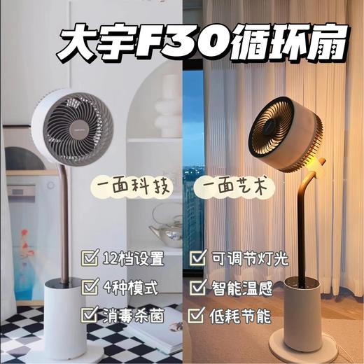 (包邮)大宇循环扇/风扇F30pro（两种颜色） 商品图0