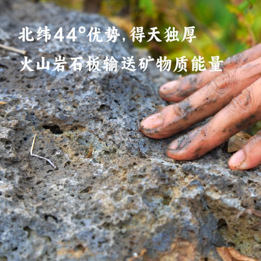 【益品良食】香畴石板大米5斤 火山岩石板地种植 鲜香四溢 历代贡米 粳米 商品图7