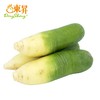 东升农场 青萝卜 青皮萝卜 3斤/5斤 中通包邮 商品缩略图1