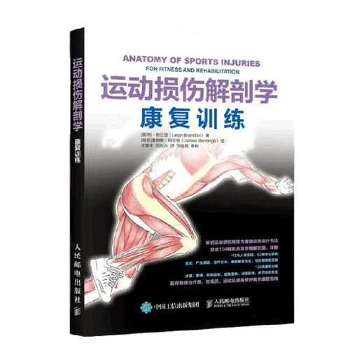 运动损伤解剖学康复训练 利·布兰登 著 养生保健 商品图0