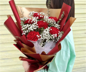 红色星河康乃馨花束（拼团）