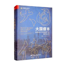 大国债市 金融高水平开放背景下的国际化之路 万泰雷等 著 金融与投资