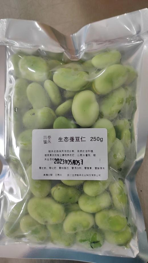 新鲜蚕豆仁250g（带皮）又叫兰花豆 商品图2