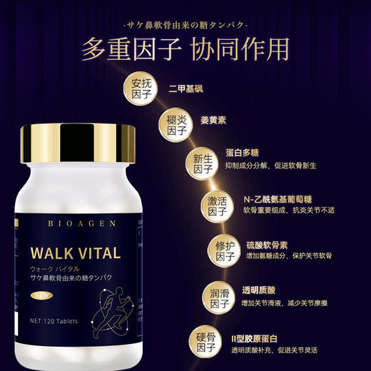 【升级款健步维*3瓶】WALK VITAL 博奥真Bioagen 维骨力健步维 WALK VITAL 关节灵 健步维(120片/瓶) 商品图3