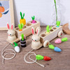 *【母婴用品】木制儿童益智早教玩具创意二合一拔萝卜兔子拉车水果配对玩具 商品缩略图0