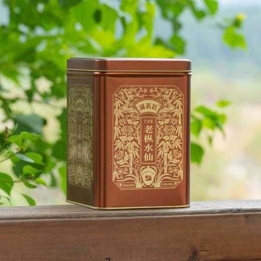 【73年 老枞水仙】（传统）溪茗岩经典方罐系列180g正宗武夷岩茶 商品图2