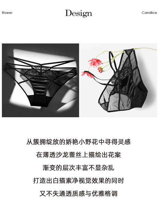3条98元好奇蜜斯蕾丝性感三角内裤女夏季薄款新款纯棉抗菌裆 贝弗莉内裤 商品图1