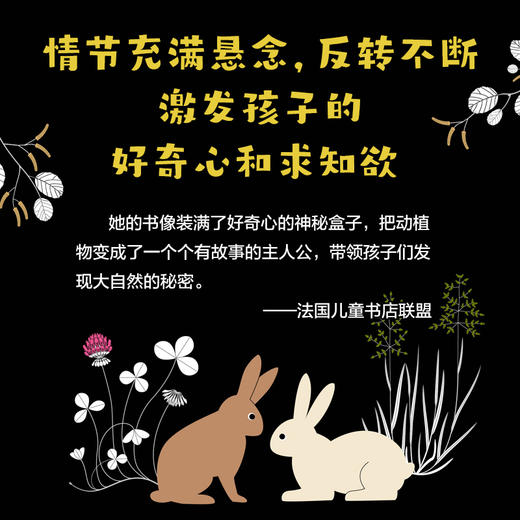 大自然的小秘密科普故事绘本（全3册） 商品图1